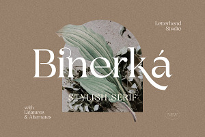 Bhinerka - Stylish Serif Font