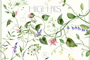 MAY Watercolor Spring Collection, a Decorative Illustration by Kaleriia (Thumbnail 8 of 12)