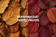 Fall Leaves Background Bundle, a Background Photo by Selenique Studio (Thumbnail 5 of 7)