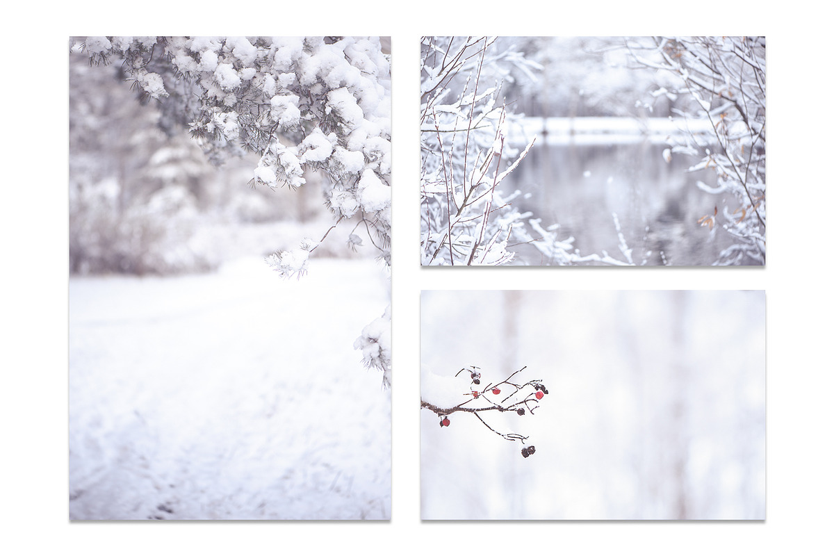 Winter Blurred background, a Nature Photo by WildStrawberry Magic (Photo 9 of 9)