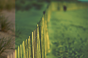 Vintage Premium Photo Effects #4, an Action Add-On by Mike Moloney (Thumbnail 2 of 5)