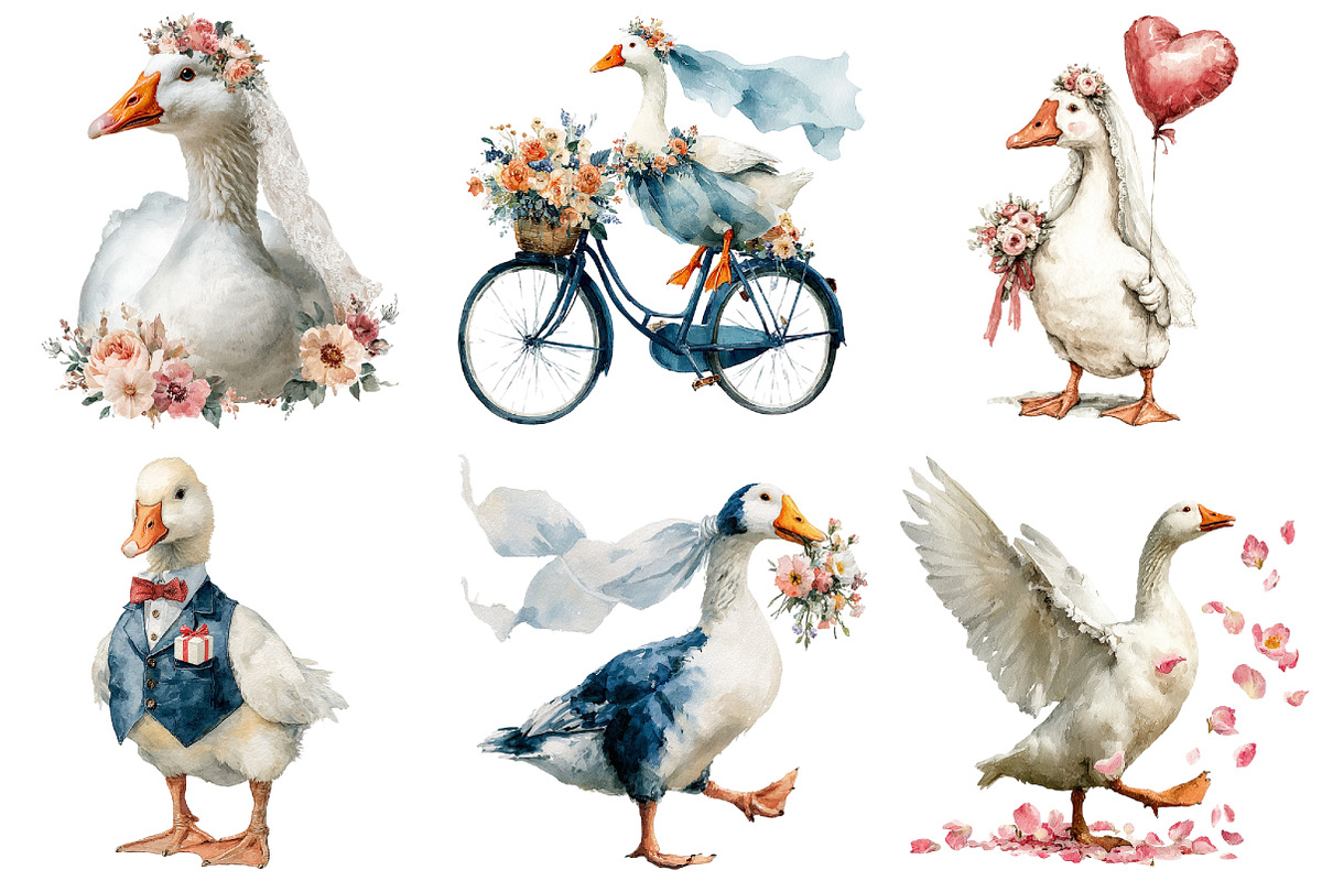 Wedding Goose Clipart, an Illustration by Craft Nest (Photo 4 of 6)