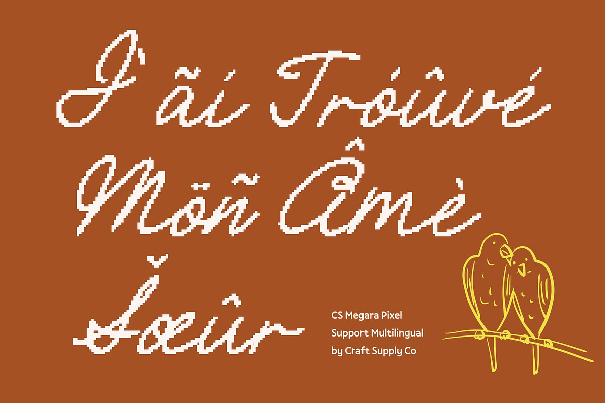 CS Megara Pixel, a Script Font by Craft Supply Co. (Photo 7 of 8)