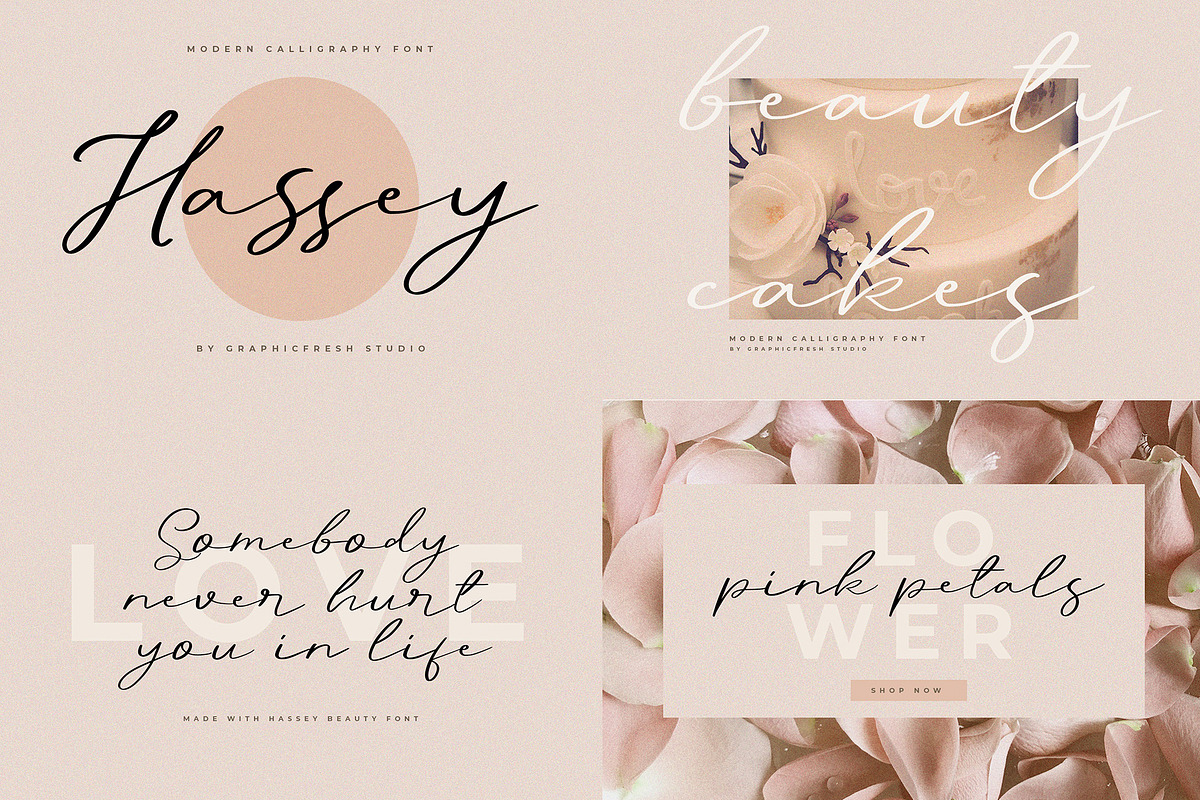 The Modern Signature Font Bundle, a Script Font by Graphicfresh (Photo 6 of 11)
