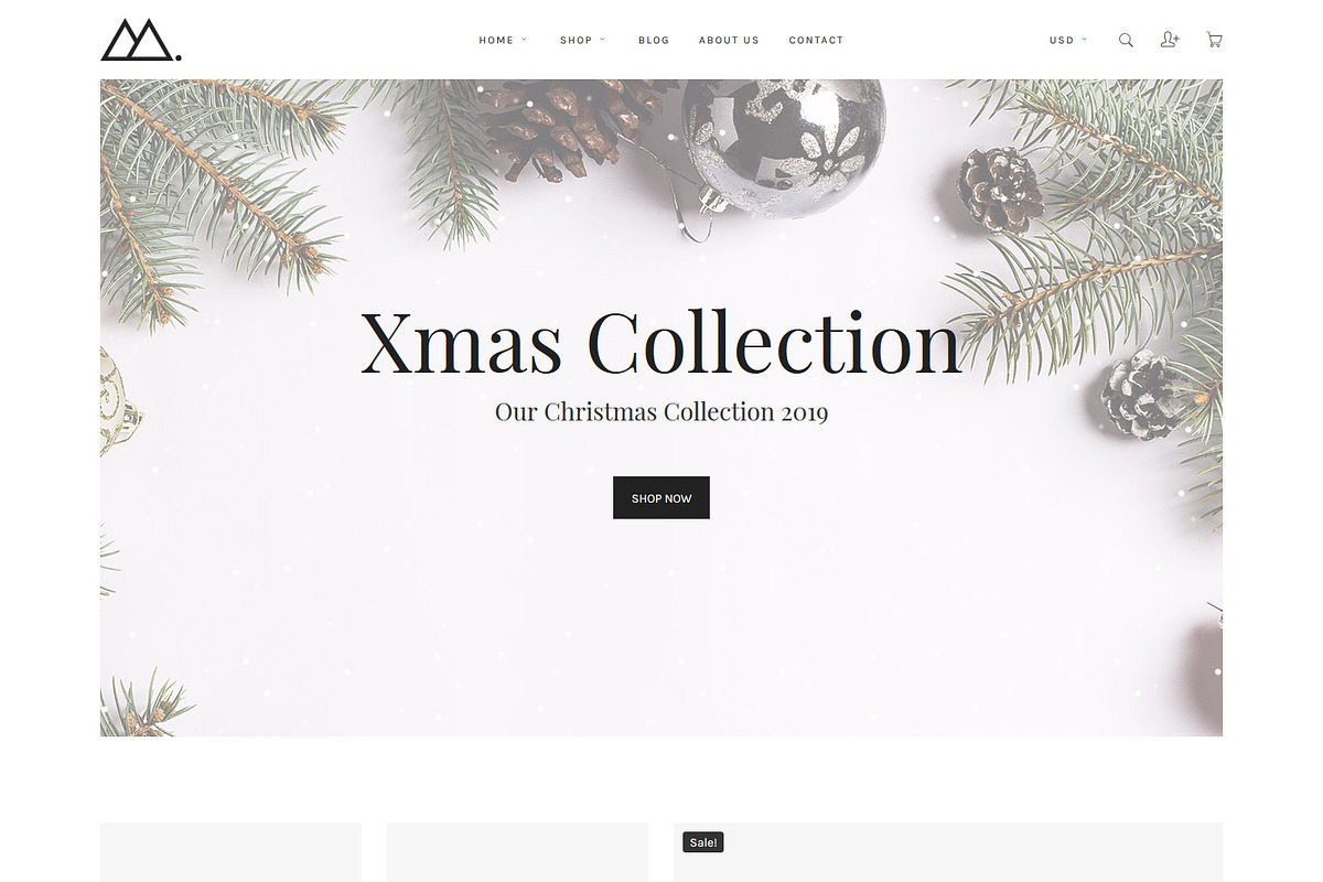 Minimalist eCommerce Shopify Theme, a Shopify Template by HasThemes (Photo 3 of 3)