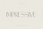 Lindsey - Modern Stylish Font, a Sans Serif Font by Product Experience (Thumbnail 3 of 8)