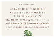 Highfield - Luxury Sans Font Family, a Sans Serif Font by Surplus Type Co (Thumbnail 2 of 10)