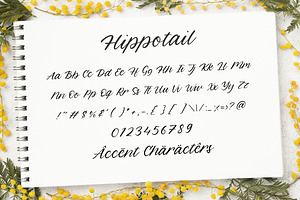 Hippotail - Modern Handwritten Font