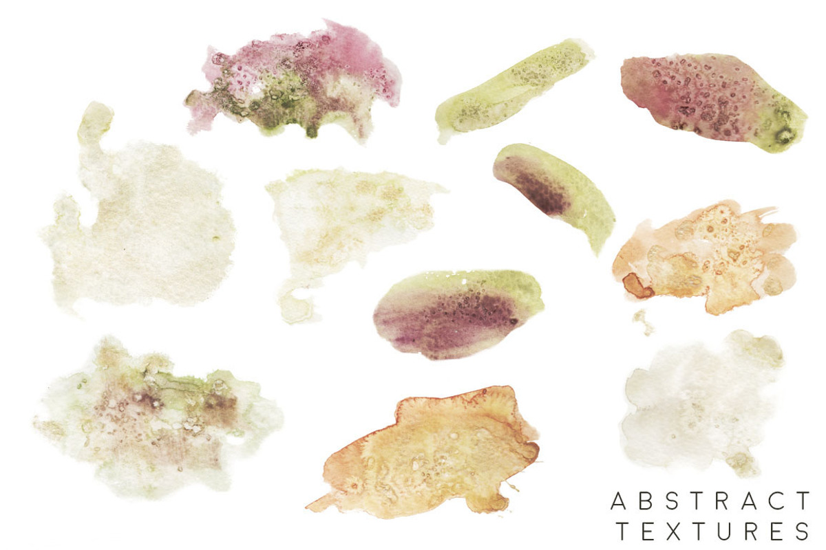 Succulent Blooms Watercolor Images, a Texture Illustration by Fire Spark Studio (Photo 7 of 9)