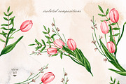 Blooming tulips. Watercolor set, a Pattern Graphic by Ola_Vola (Thumbnail 6 of 9)
