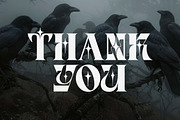 Velano a Serif Gothic Font, a Serif Font by Honestype (Thumbnail 12 of 12)