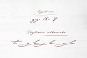 Patton Delicate Signature Typeface, a Script Font by takoliko (Thumbnail 10 of 11)