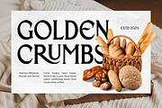 Beiruth - Serif Font, a Serif Font by Sronstudio (Thumbnail 4 of 16)