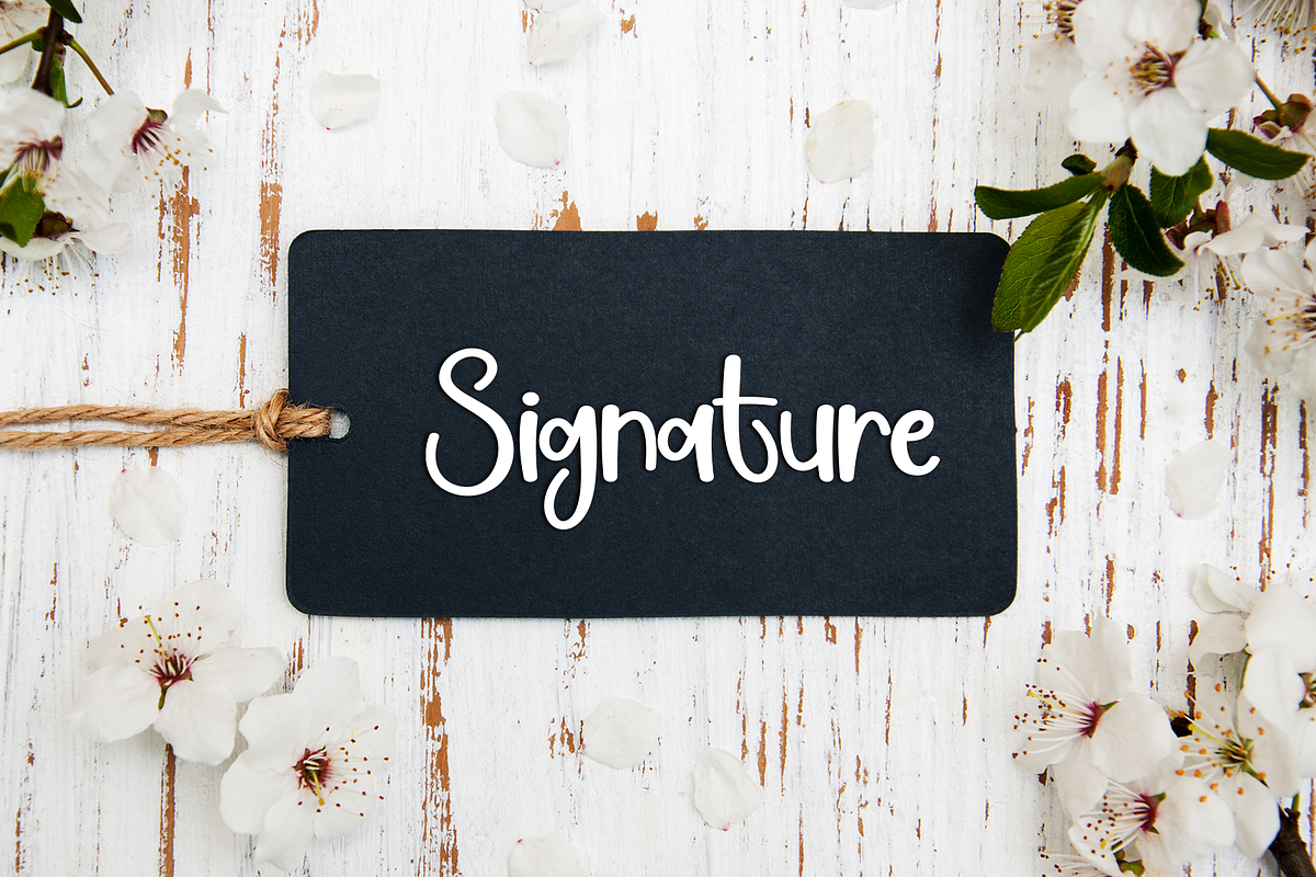 Thanksgiving | Script Font, a Script Font by Scratchones (Photo 5 of 8)