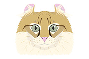 9x Cat breeds Vector Collection, an Animal Illustration by asantosg (Thumbnail 2 of 5)