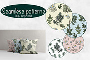 Herbal collection, a Decorative Illustration by sizileon (Thumbnail 5 of 11)