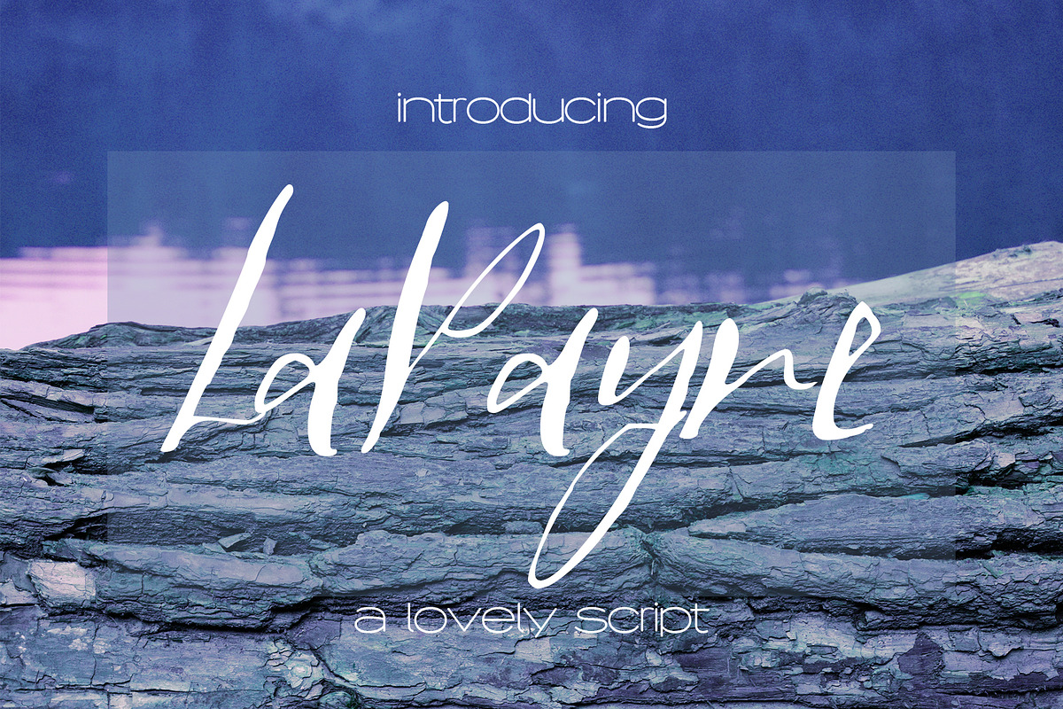 LaPayne Font, a Script Font by SophieSaxo (Photo 1 of 8)