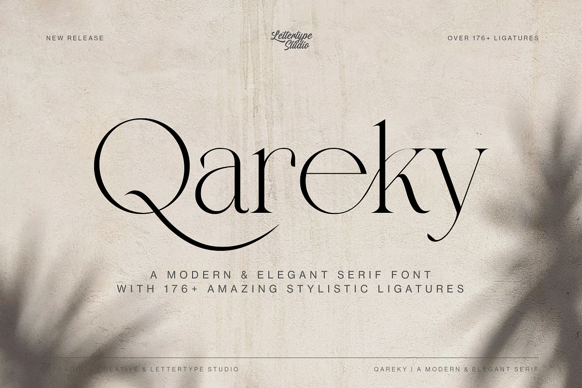 Qareky a Modern & Elegant Serif, a Serif Font by Lettertype Studio (Photo 1 of 20)