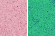 GSTC - Stone bench textures, a Texture Graphic by The Shop (Thumbnail 62 of 80)