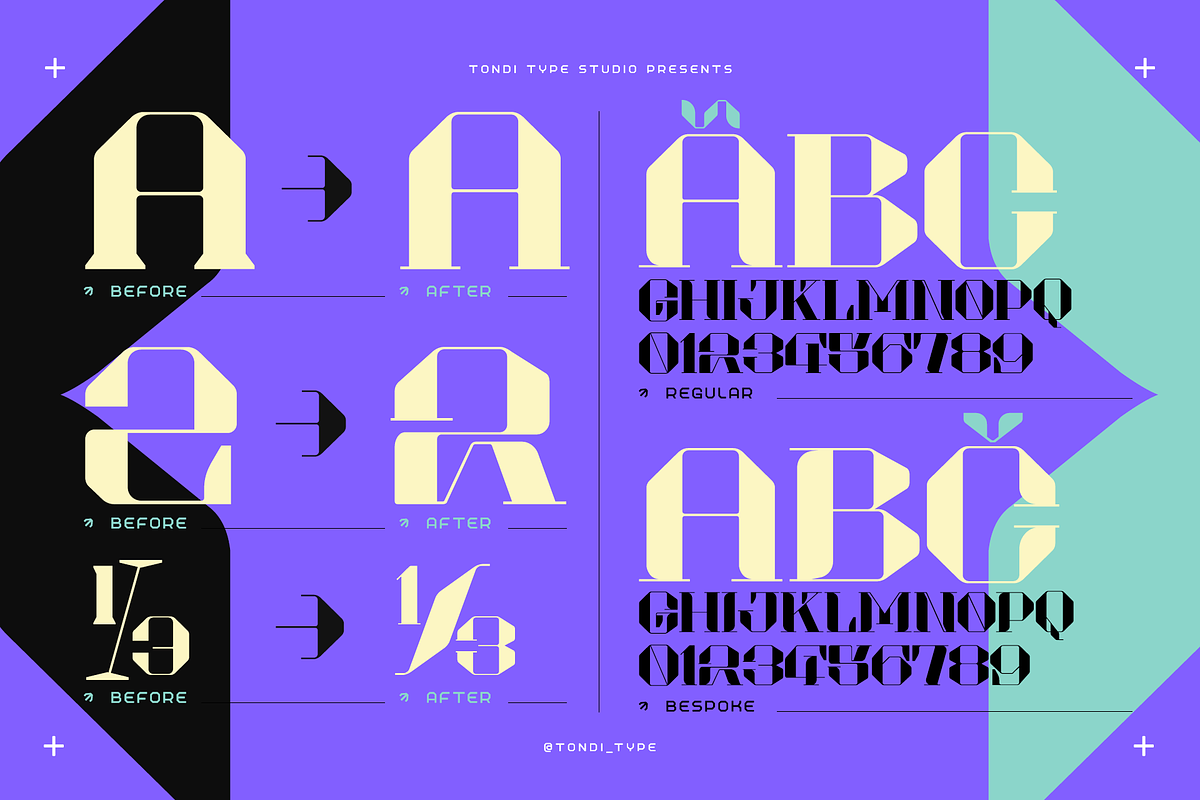 Akadis Neue - Contemporary Serif, a Serif Font by Tondi Type Studio (Photo 3 of 19)