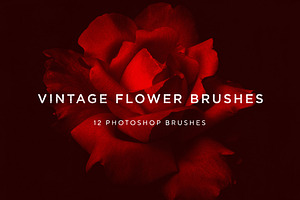 Vintage Flower Brushes