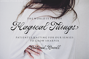 Holy Mary – Modern Calligraphy Font, a Script Font by RedyStudio (Thumbnail 7 of 13)