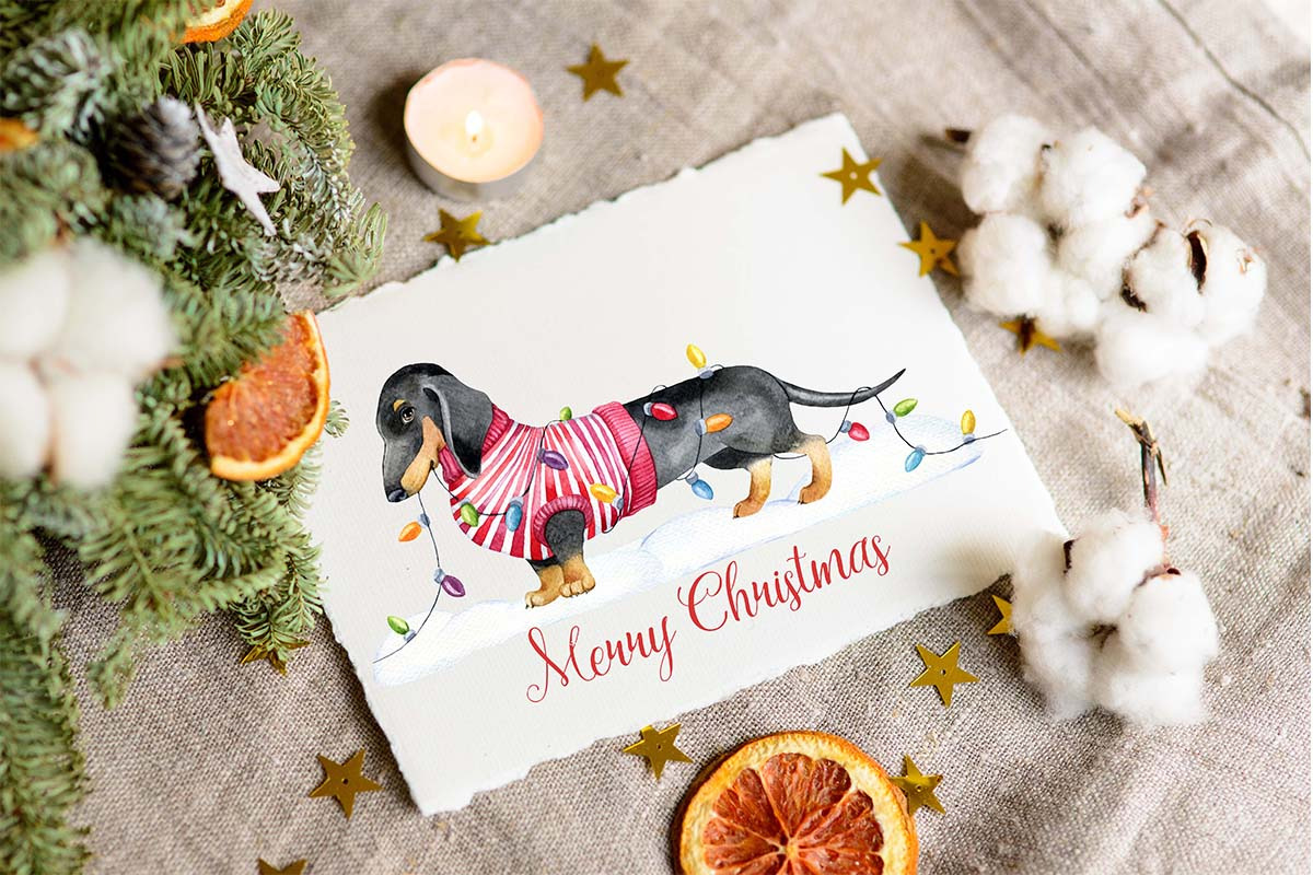 Christmas dogs Clipart, Holiday pug, an Animal Illustration by SimpleWishesArt (Photo 6 of 8)