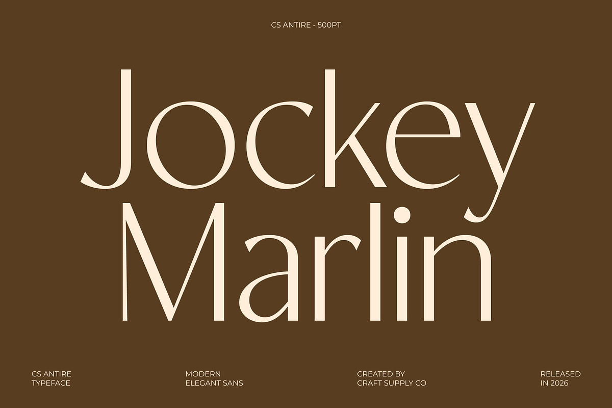CS Antire – Clean Sans Serif, a Sans Serif Font by Craft Supply Co. (Photo 4 of 8)