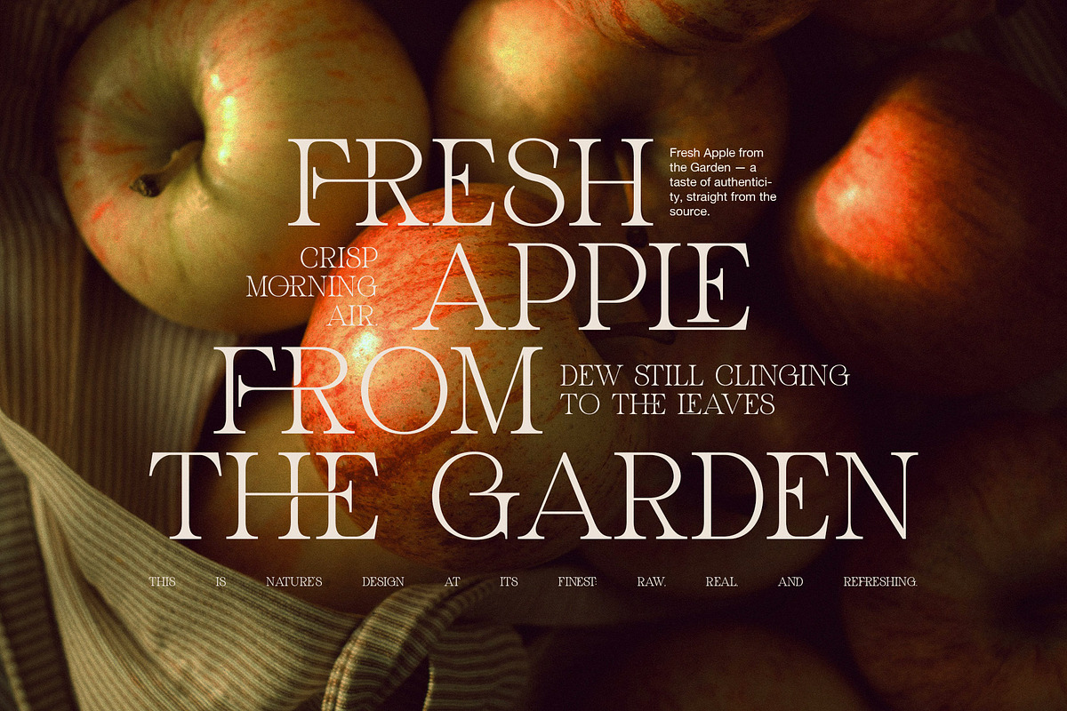 Ghond Modern Elegant Serif Font, a Serif Font by Perfectype (Photo 6 of 8)