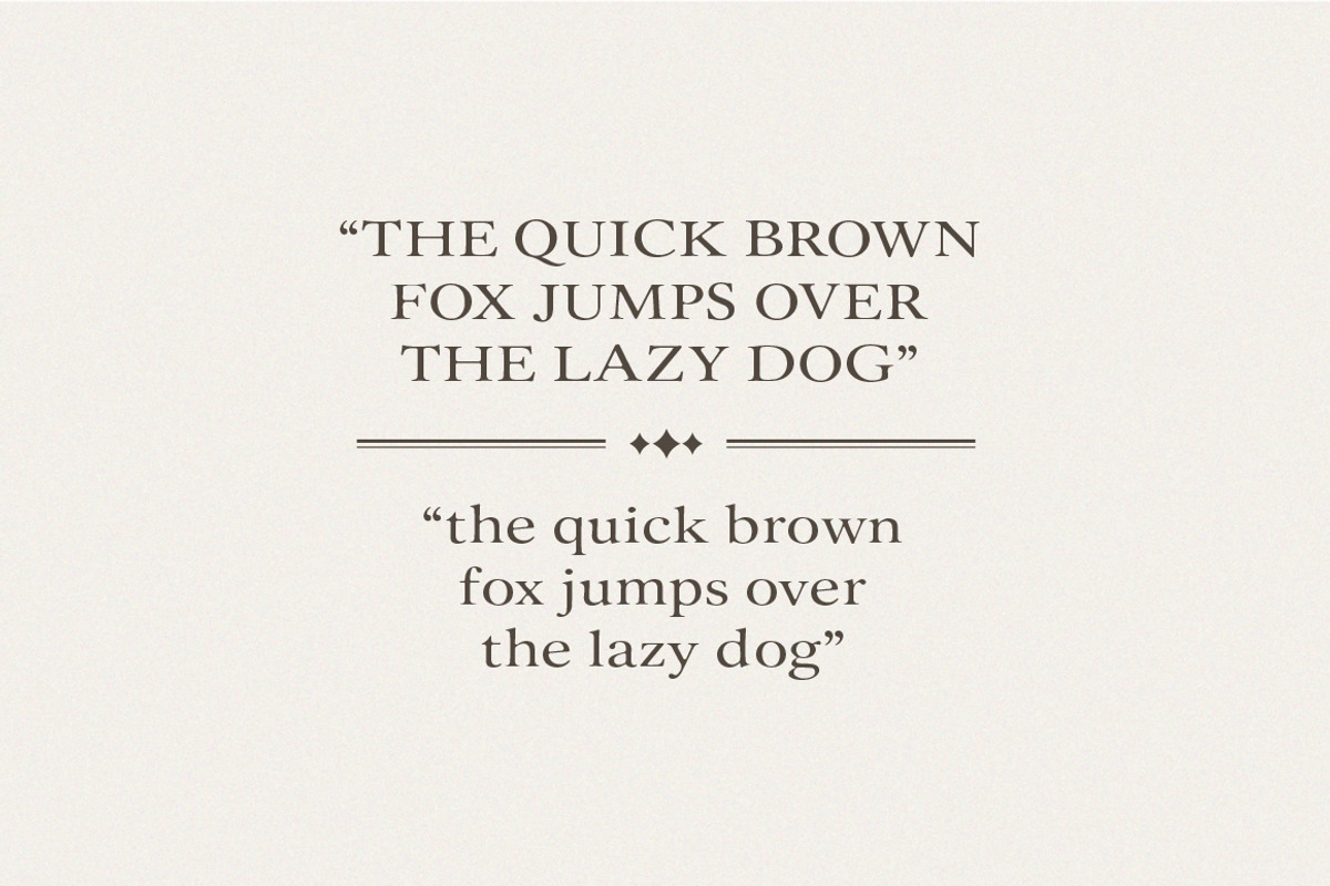 Old String - Serif & Script Font Duo, a Serif Font by Typebae (Photo 10 of 10)