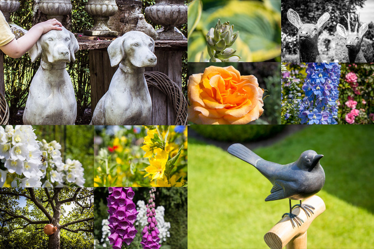 Garden Photo Set 31 pics preview 7