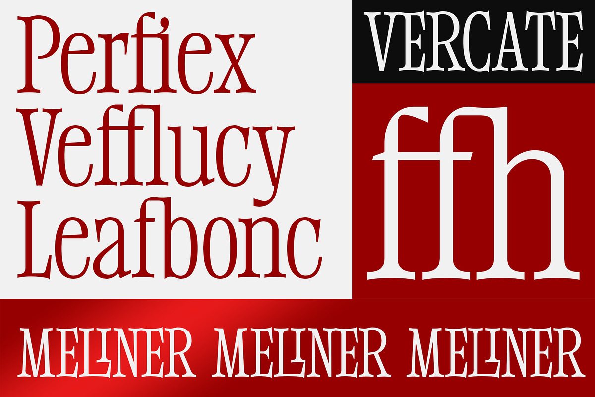 Meliner, a Serif Font by Dora Typefoundry (Photo 9 of 12)