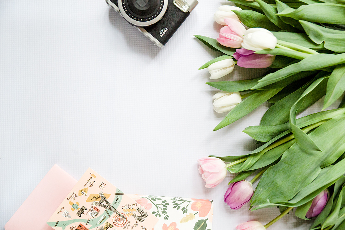 Styled Stock Brand Image Sale by Nellaino  Creative Market