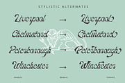 Beanuci, a Script Font by Damelev (Thumbnail 10 of 13)