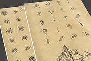 150+ Hand Drawn Nature Sketches, an Illustration by Imagine Design (Thumbnail 4 of 5)