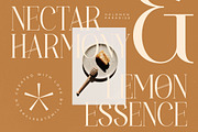 Holdmen Paradise Modern Serif, a Serif Font by timelesstype.co (Thumbnail 14 of 20)