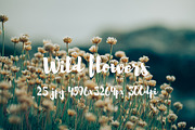 Wild Flowers II, a Templates & Theme by ApertureVintage (Thumbnail 9 of 14)