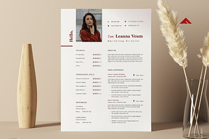 Marketing Resume Pro Template