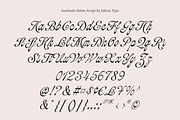 Soulmate Palms | Vintage Script, a Script Font by Jolicia Type (Thumbnail 10 of 12)