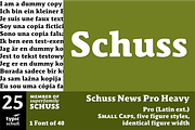 SchussNewsProHeavy No.25 (1 Font), a Serif Font by typic schuss (Thumbnail 1 of 6)
