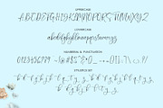 Songket Handwritten Script, a Script Font by moriztype (Thumbnail 7 of 8)