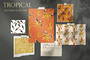 Tropical story. Patterns collection., a Pattern Graphic by Alena Zaytseva (Thumbnail 6 of 11)