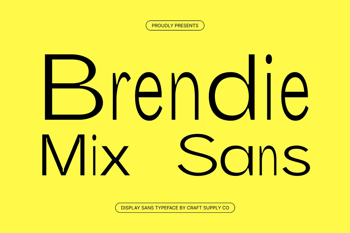 Brendie Mix, a Sans Serif Font by Craft Supply Co. (Photo 1 of 8)