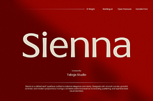 TBJ Sienna Elegant Serif Font Family