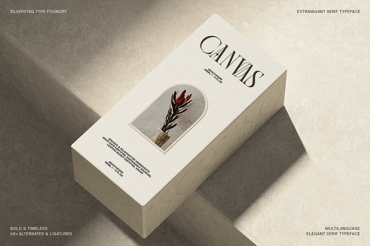 SLTF BOXROOM - Modern Serif Typeface, a Serif Font by SilverStag Type Foundry (Photo 18 of 30)