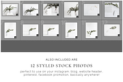 Scandinavian Natural Bundle, a Print Template by Imperium Nordique (Thumbnail 6 of 6)