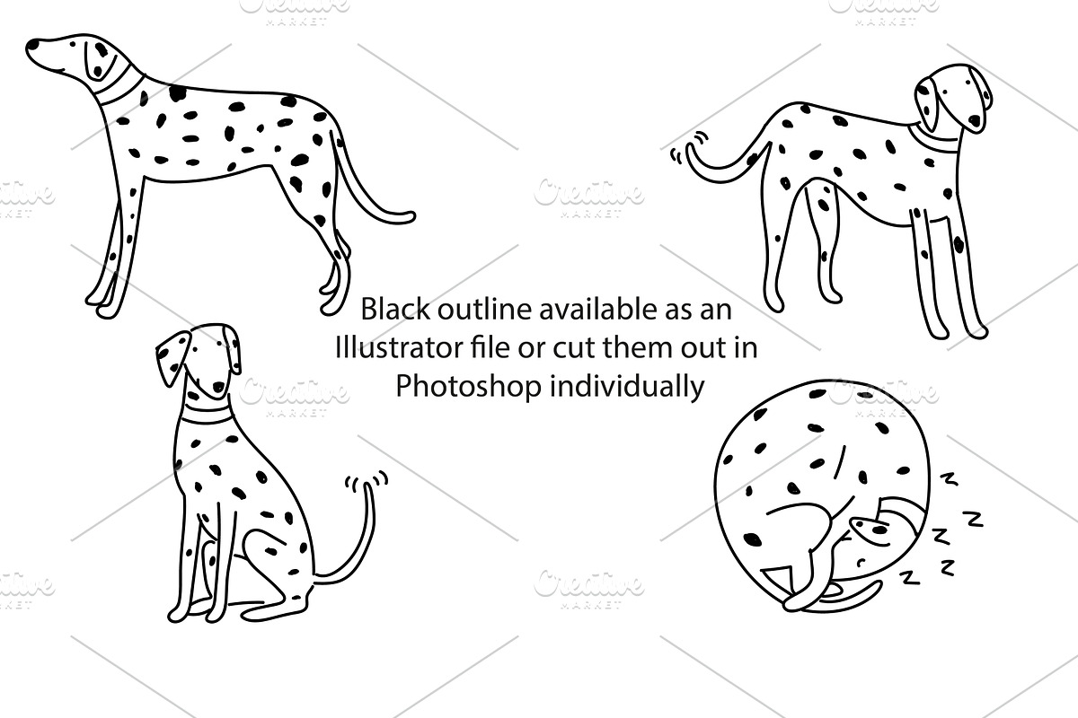 Cute doodle Dalmatians, an Animal Illustration by Liz Pengilley Studio (Photo 3 of 4)