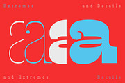 Presley Slab, a Font by Sudtipos (Thumbnail 6 of 6)