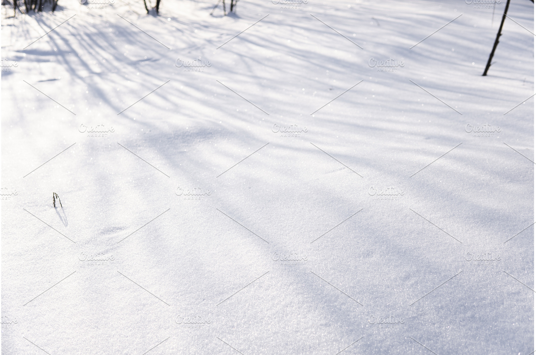 Shadows of bare tree branches, a Nature Photo by volodymyrshtun13795
