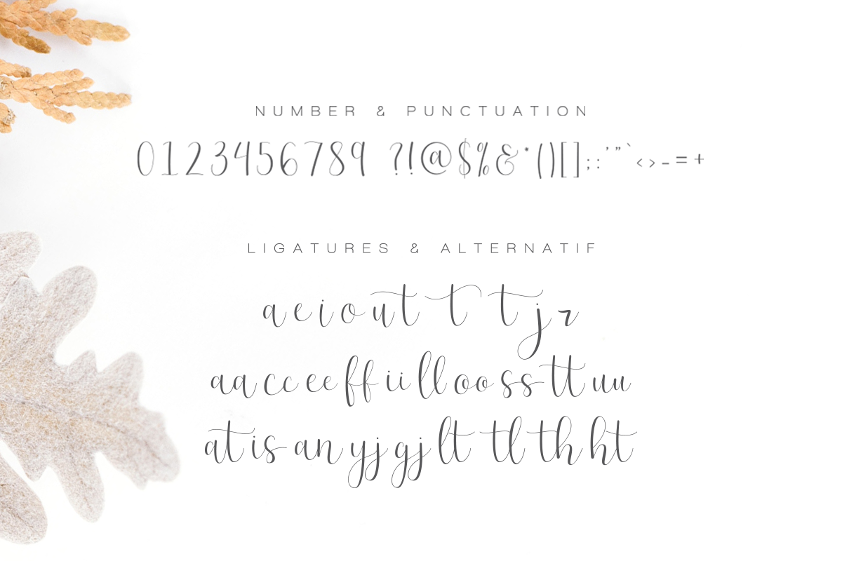 Effort - Calligraphy Font preview 8